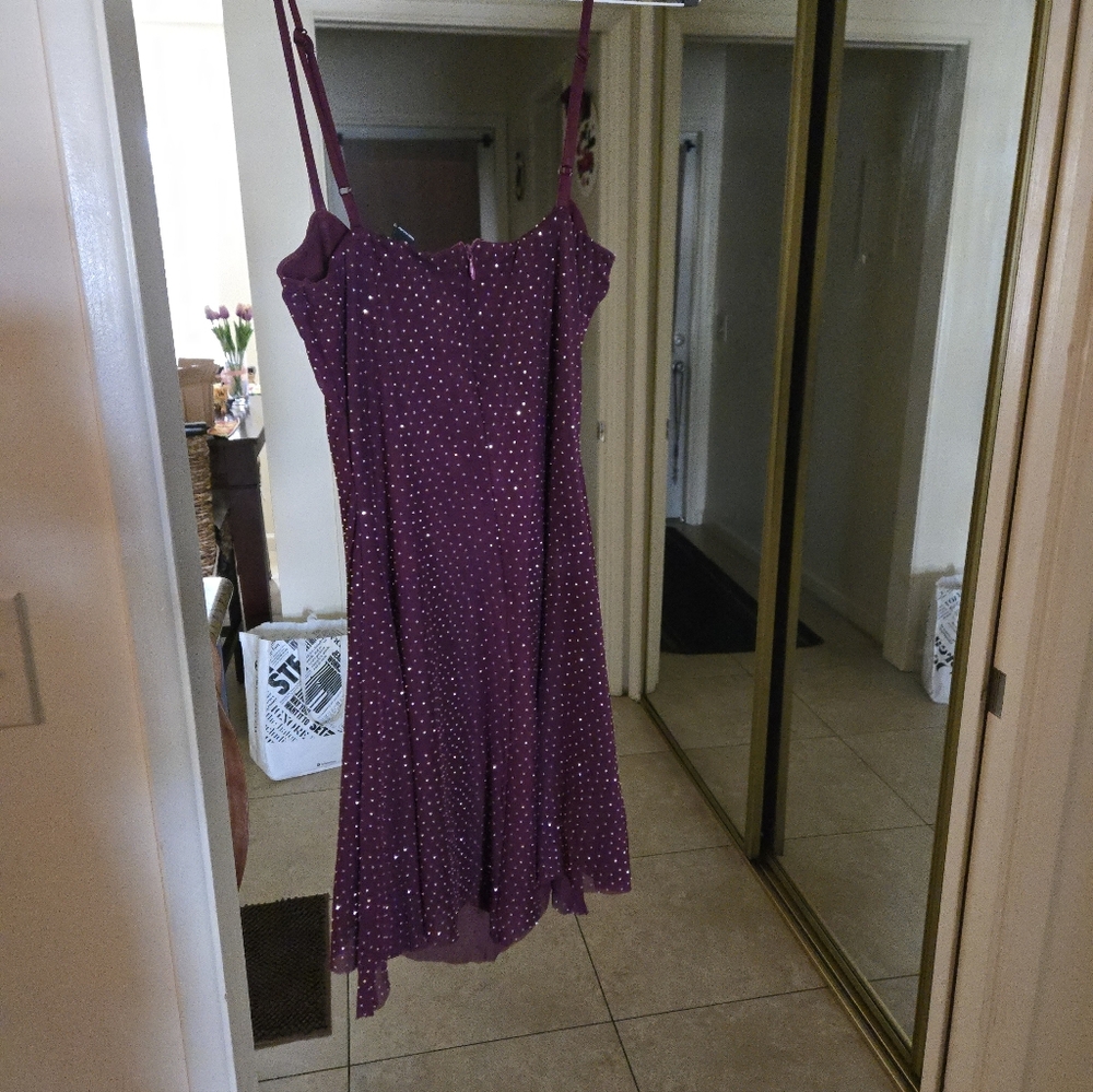 Windsor Spagetti Straps Merlot Sparkle Dress. Size Medium
